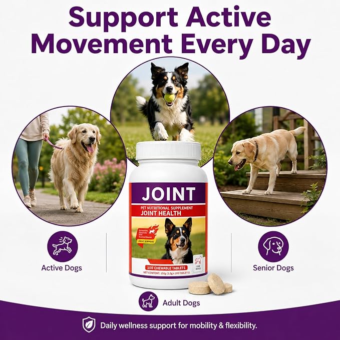 Dog Hip & Joint Supplement with Glucosamine, Chondroitin & MSM, 100 Count