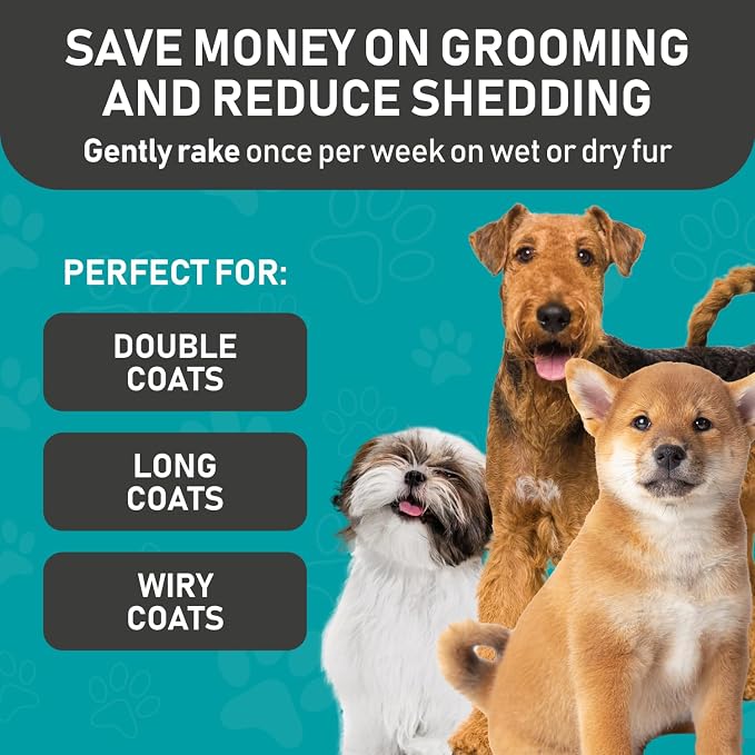 Maxpower Planet Pet Grooming Brush and 2X Grooming Gloves Combo, Blue