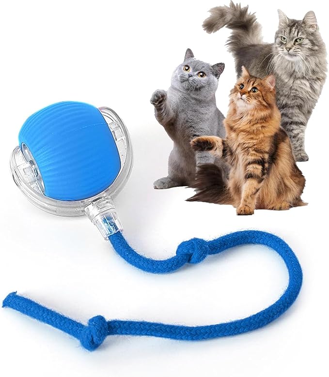 Rocfish Durable Interactive Cat Toys for Indoor Cats (Blue, 01) | Smart Automatic Cat Chase Ball Toy, Upgraded Speedy Tail Kitten Toy for Bored Indoor Adult Pets