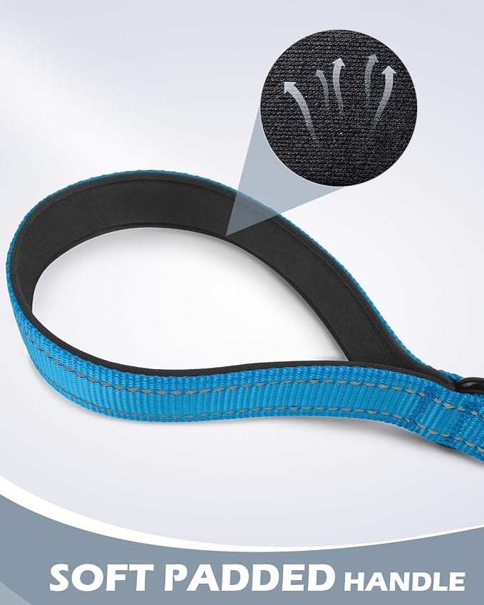 Joytale Short Dog Leash for Close Control & Training, 24", Aqua Blue | Padded Comfort Handle, Reinforced Nylon Webbing, Secure Metal Clip, for Busy Streets & Heel Training
