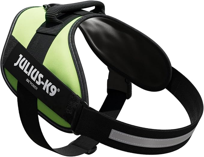 Julius-K9, 16IDC-NE-2, IDC Powerharness, Dog Harness, Size: 2, Neon Green