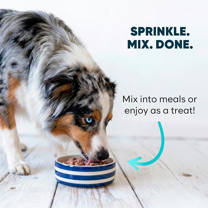 Green Lipped Mussel Powder for Dogs & Cats - 100% New Zealand - 100g - Natural Hip & Joint Support Supplement - Rich in Omega-3, Glucosamine & Chondroitin - Single Ingredient Food Topper