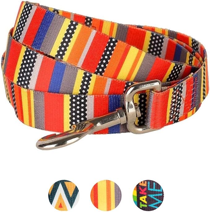 Blueberry Pet Essentials Durable Nautical Flags Inspired Designer Dog Leash 5 ft x 3/8" for Puppy, X-Small, Leashes for Dogs