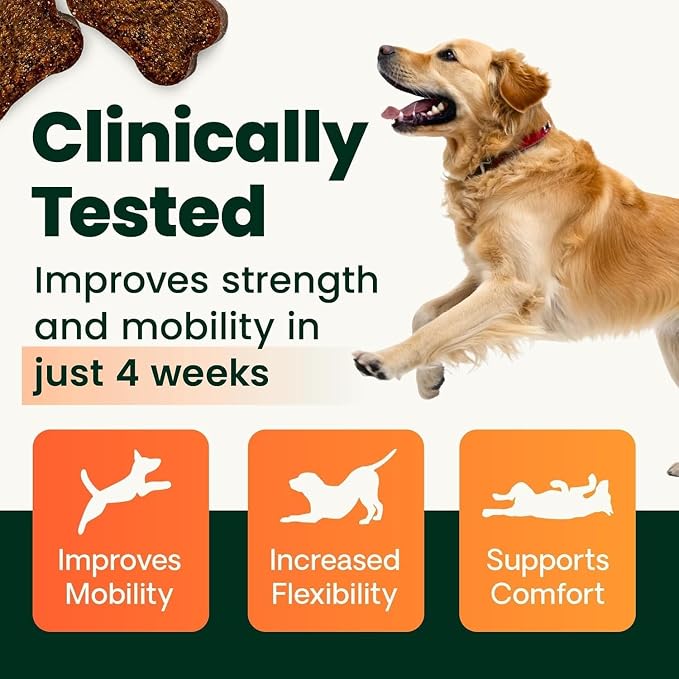 VetriScience Healthy Hip & Joint Chewable Tablets, GlycoFlex2 Glucosamine and Green-Lipped Mussel Joint Support Supplement for Dogs, Promote Mobility and Protect Joints, Chicken, 120 Count, 2 Pack