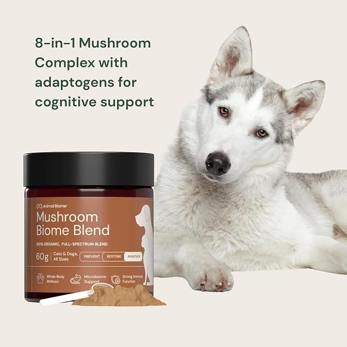 Animal Biome Organic Mushroom Powder for Dogs & Cats, Easy Food Topper 60g