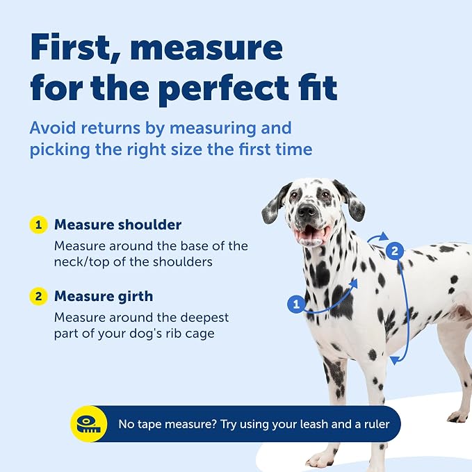 PetSafe 3 in 1 No-Pull Dog Harness - Walk, Train or Travel - Helps Prevent Pets from Pulling on Walks - Seatbelt Loop Doubles as Quick Access Handle - Reflective Accents - Medium, Black | Rests on Chest Not Throat to Reduce Pulling, 5 Adjustment Points...