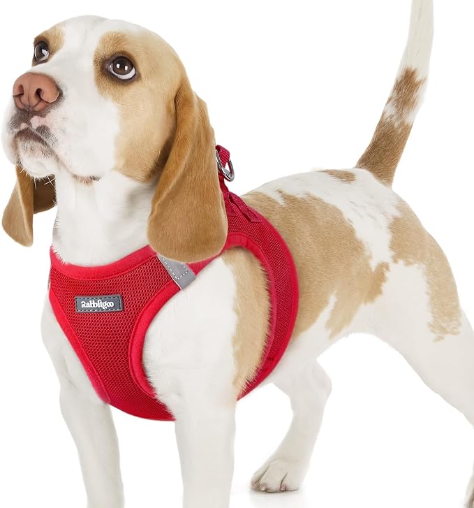 rabbitgoo Step-in Small Dog Harness, Puppy Vest for Small Sized Pet | Easy Put on and off, Lightweight, Soft, Breathable Quick-Dry Air Mesh for Comfortable Secure Walking, Red M