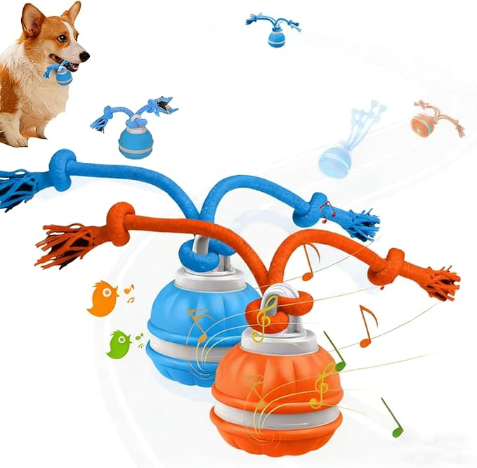 2Pack Interactive Dog Toys for Small Dogs – Peppy Pet Ball & Chase Buddy Dog Toy Active Rolling Puppy Toys to Keep Them Busy, Daily Training Interactive Puppy Toys