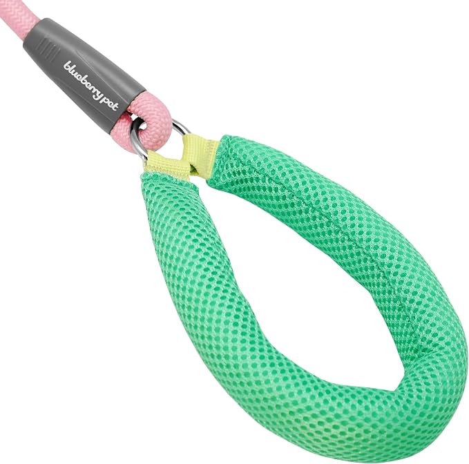 Blueberry Pet Dog Leash 4ft - Vibrant Pink Rope Dog Leash with Coral/Mint Handle, Puppy Essentials for Small Dogs, Comfortable Padded Hold, Pink Leash for Fashionable Pet Owners