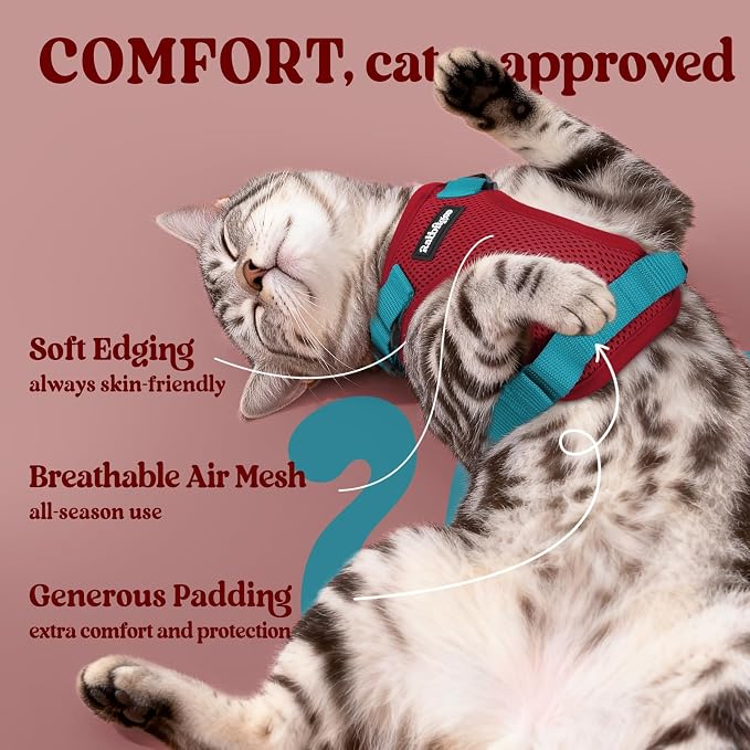 rabbitgoo Cat Harness and Leash Set, Escape Proof Vest, Red & Teal | Soft Breathable Mesh, Easy Adjustable Fit, Snap Buckles, Sturdy Clip, Reflective Strips, for Average Cats Walks, S