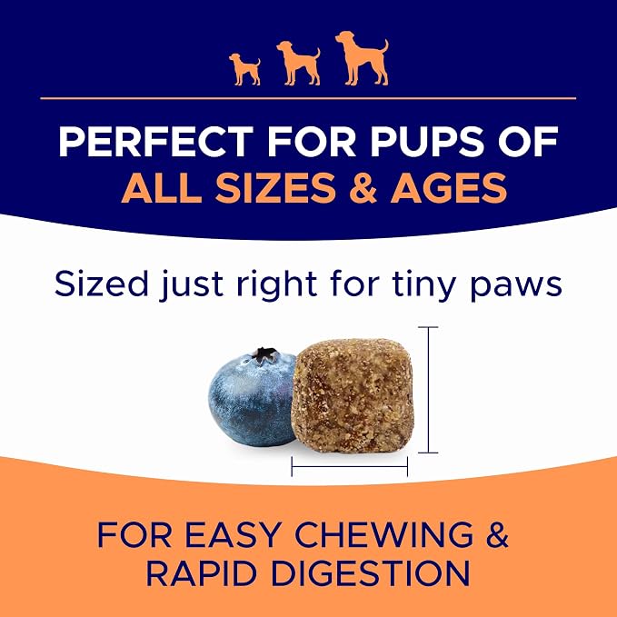 Omega 3 Chews + Allergy Relief Dogs Bundle – Dual Skin & Coat Support – EPA&DHA for Itchy Skin, Hot Spots, Paw Licking, Joint & Heart Health – 360 Ct – Made in USA
