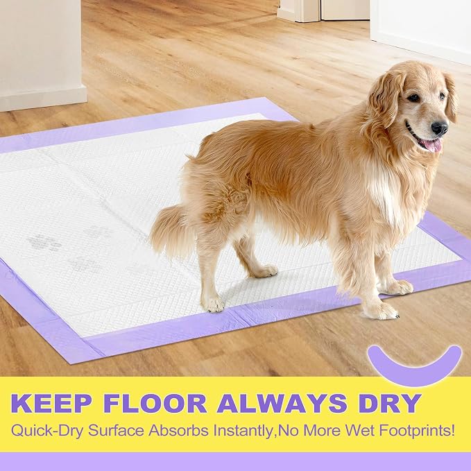 MIZOK Puppy Pads 36x36 Dog Pads Extra Large Odor Control Pee Pads for Dogs, Ultra Absorbent Up to 11 Cups 6 Layers Leak-Proof, Pink Cherry Blossom Prints& Lavender Scented(60 Counts)