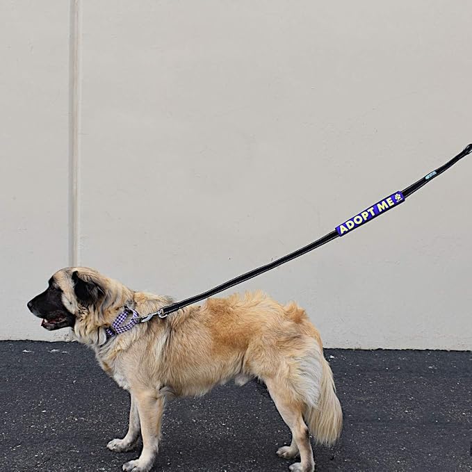 Max and Neo Leash Sleeves Adopt ME - We Donate 1 for 1 to Dog Rescues for Every Product Sold (Purple/Double)