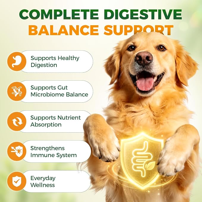 Probiotics for Dogs, 6-Strain Gut Health Blend with Digestive Enzymes, Pumpkin & Papaya, Chicken Flavor Chewable Tablets, 100 Count, Supports Digestive Health for All Breeds