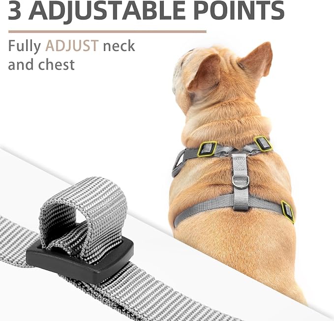 PUPTECK Small Dog Harness and Leash Set, No Pull Adjustable Puppy Cat Harness, Reflective Soft Mesh Pet Vest Small Sized, Grey, XS