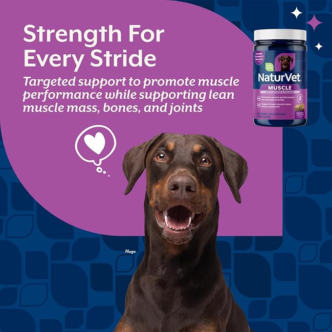 NaturVet Muscle Targeted Care Hip & Joint Supplement for Dogs - 60 Ct