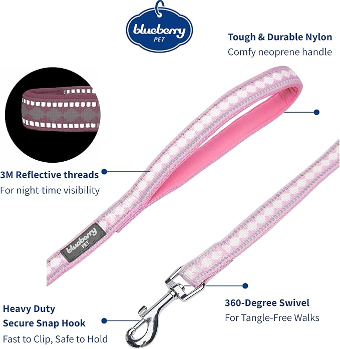Blueberry Pet 3M Reflective Jacquard Dog Leash with Soft & Comfortable Handle, 5 ft x 3/4", Pink, Medium, Leashes for Dogs