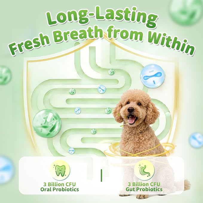 Dog Dental Powder, Teeth Cleaning Powder, Plaque & Tartar Off, 75 Servings