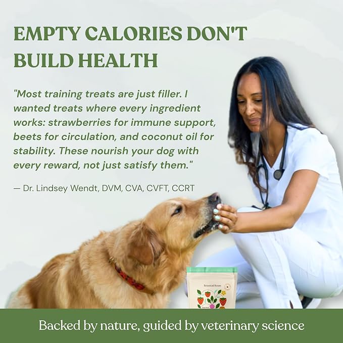 Love Bites Healthy Natural Dog Treats, Oven Baked Dog Cookies with Peanut Butter, Strawberry & Beet, Grain Free Limited Ingredient Snacks for Dogs, 2 Pack