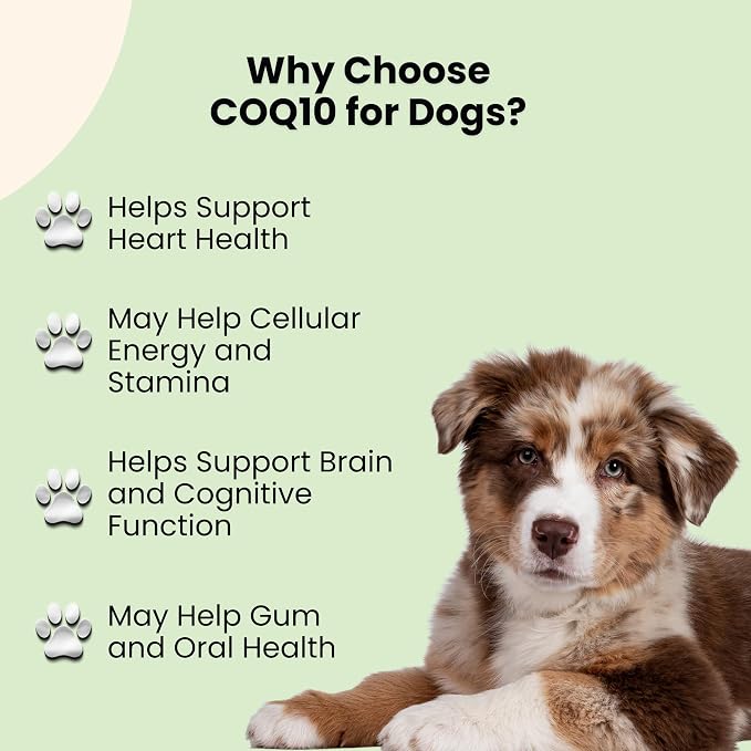 CoQ10 for Dogs - Coenzyme Q10 for Dogs - Heart, Joint & Cardiovascular Support - Dog Heart Supplements - Dog Hip & Joint Care - 1 fl oz (2 Pack)