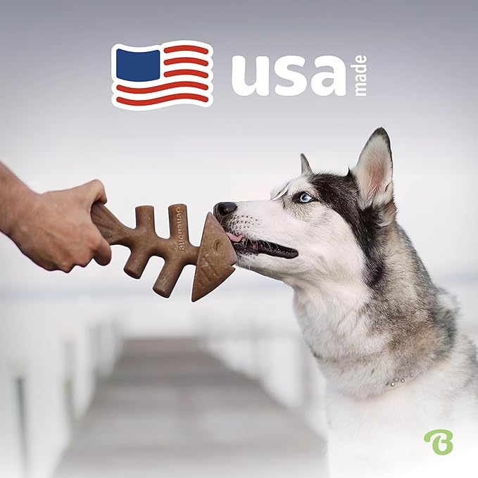 Benebone Fishbone Dog Chew Toy for Aggressive Chewers, Long Lasting, Made in USA, Large
