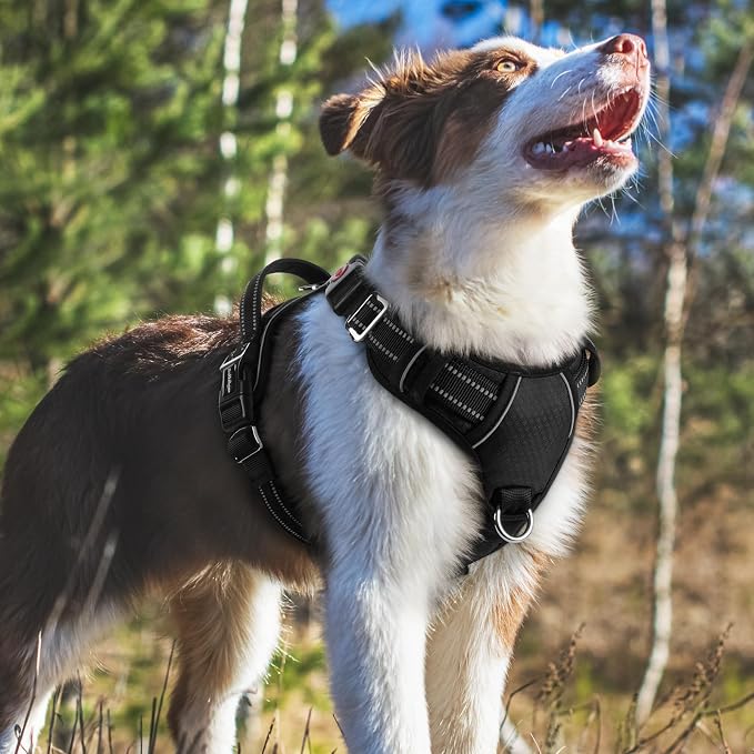 rabbitgoo Dog Harness Medium Sized, No Pull 3 Buckles Easy On & Off | Soft Padded, Walking with Control Handle, Adjustable and Reflective, Black, Medium