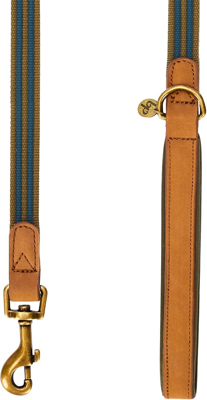 Blueberry Pet Polyester Fabric Webbing and Soft Genuine Leather Dog Leash with Soft & Comfortable Handle, 4 ft x 3/4", Navy and Olive, Leashes for Dogs