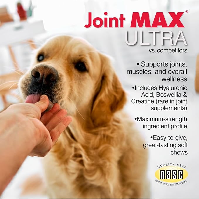 Ultra Advanced Hip & Joint Support for Dogs – All-in-One Soft Chews with Glucosamine, MSM, Omega-3s (EPA & DHA), Hyaluronic Acid & Boswellia – Maximum Strength Mobility & Comfort – 120 Chews