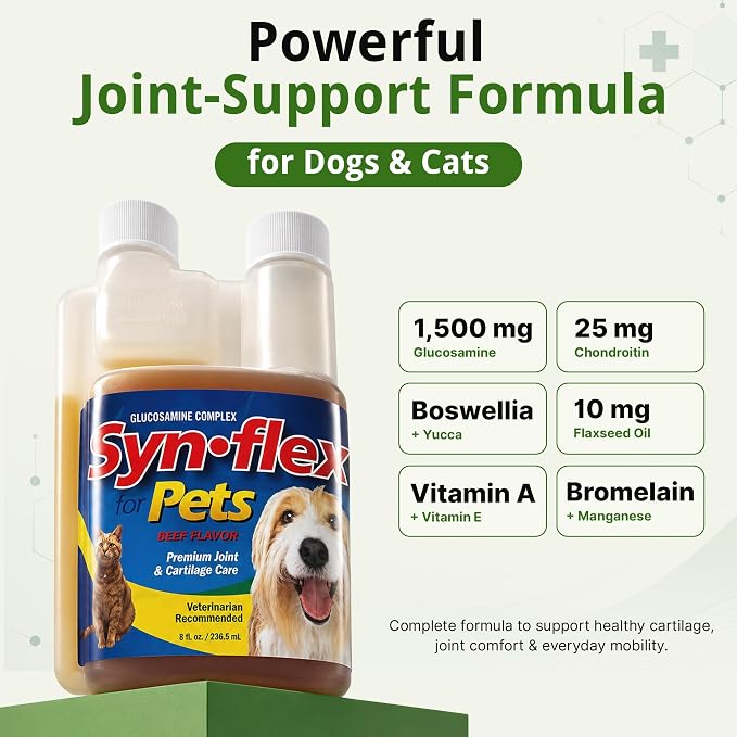 Synflex Concentrated 8oz Joint Supplement Bottle | Glucosamine Chondroitin Liquid for Dogs & Cats | Boswellin Yucca Manganese | Beef Flavor | Made in USA for Daily Pet Mobility Wellness Use Plan