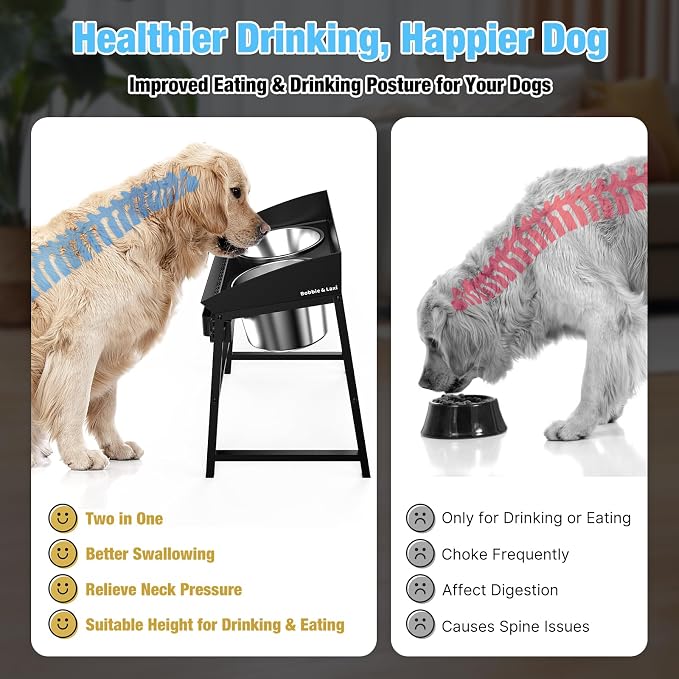 Bobbie & Laxi Elevated Dog Bowls for Large Dogs, 15-inch Tall Raised Dog Bowl Stand with Plastic Guard, Tilted Spill Proof Dog Bowl Design, Stainless Steel Food and Water Bowls for Mess-Free Floors