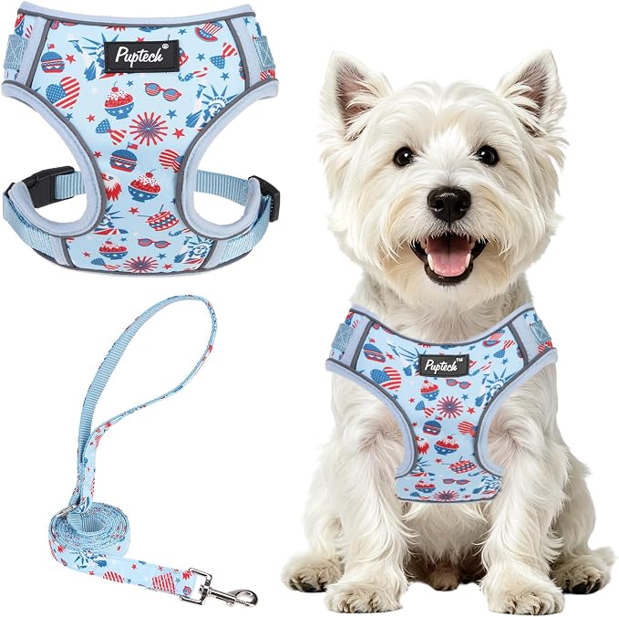 PUPTECK Dog Harness and Leash Set, No Pull Adjustable Pet Small Dog Harness, Reflective Soft Mesh Pet Vest, for Small Medium Dogs Walking, Light Blue, S