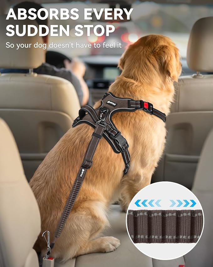 Joytale 3-in-1 Bungee Dog Seat Belt - Brown