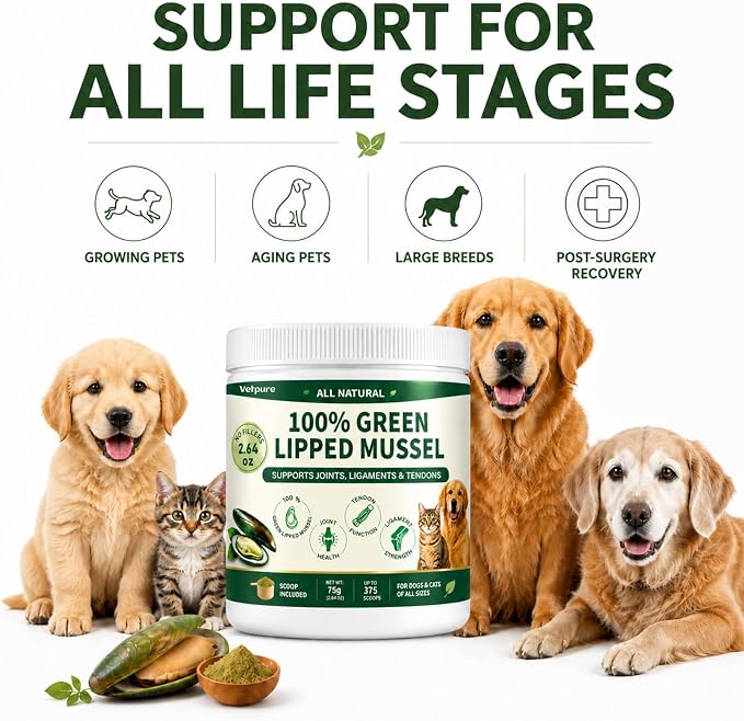 Pure Green Lipped Mussel Powder for Dogs & Cats – 100% Natural Hip & Joint Supplement Powder Supports Joints, Tendons, Ligaments & Muscles – 75 Grams – Up to 375 Servings