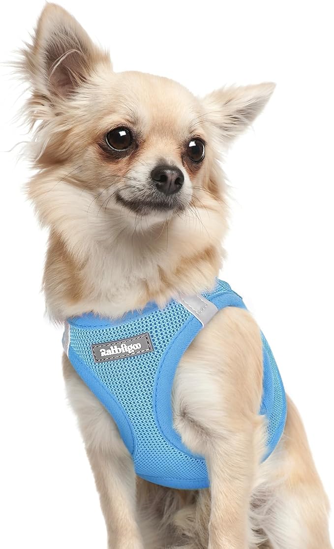 rabbitgoo Step-in Small Dog Harness, Puppy Vest for Small Sized Pet | Easy Put on and off, Lightweight, Soft, Breathable Quick-Dry Air Mesh for Comfortable Secure Walking, Blue XXXS
