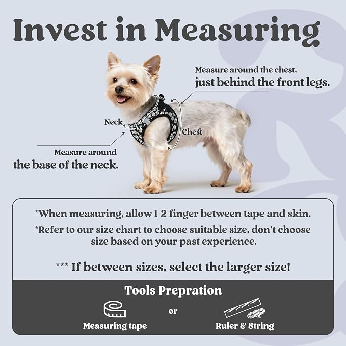 rabbitgoo Step-in Small Dog Harness, Puppy Vest for Small Sized Pet | Easy Put on and off, Lightweight, Soft, Breathable Quick-Dry Air Mesh for Comfortable Secure Walking, Midnight Daisy XXS