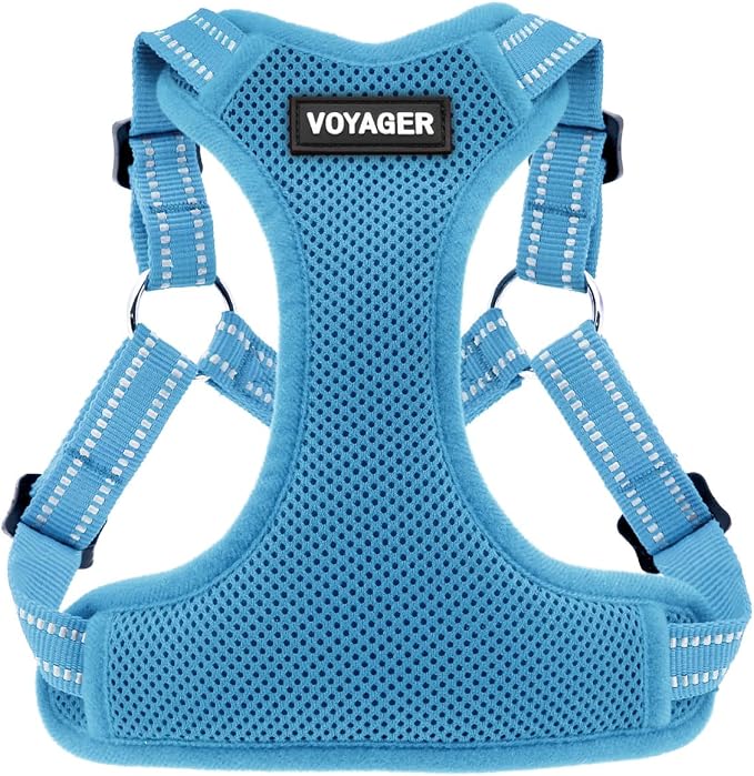 Voyager Step-in Flex Adjustable Dog Harness - Baby Blue, X-Small | 13 - 16" in Chest, Fully Adjustable, Reflective Bands, All Weather Breathable Air Mesh, Lightweight, Fast Drying