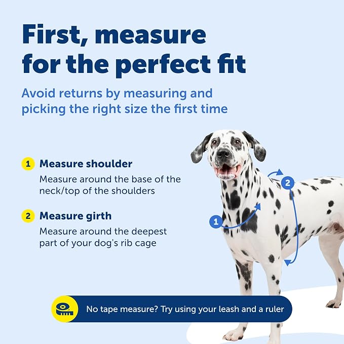 PetSafe 3 in 1 No-Pull Dog Harness - Walk, Train or Travel - Helps Prevent Pets from Pulling on Walks - Seatbelt Loop Doubles as Quick Access Handle - Reflective Accents - Medium, Teal | Rests on Chest Not Throat to Reduce Pulling, 5 Adjustment Points,...