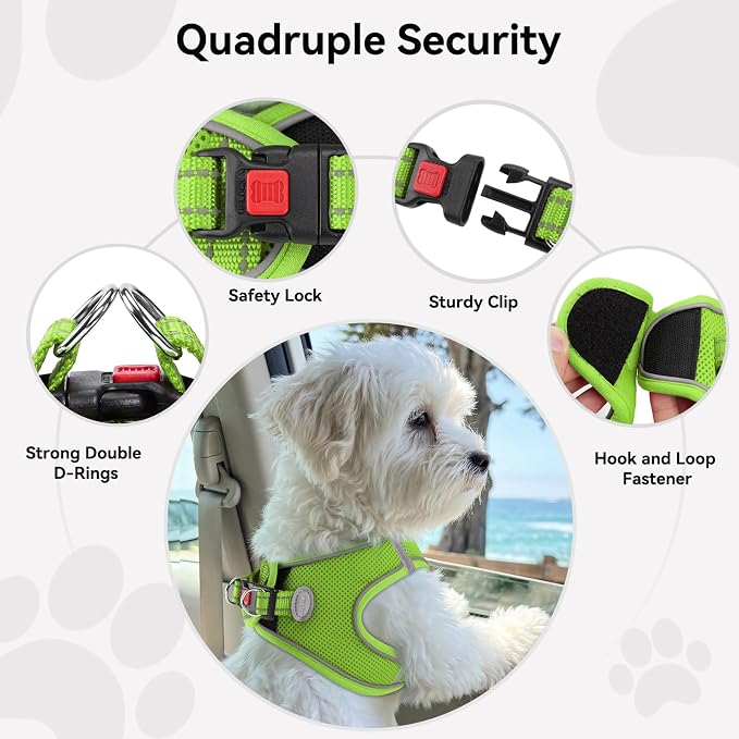 Joytale Step-in Dog Harness, Soft Breathable Mesh, Green XS | Adjustable Fit for Small Dogs, Easy Step-in with Secure Fastener, Even Chest Pressure, Reflective For Night Safety, Washable