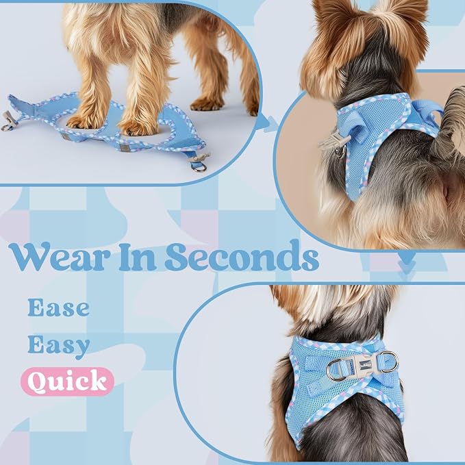 rabbitgoo Step-in Small Dog Harness, Puppy Vest for Small Medium Sized Pet | Easy Put on and off, Lightweight, Soft, Breathable Quick-Dry Air Mesh for Comfortable Secure Walking, Blue & Plaid Trim L
