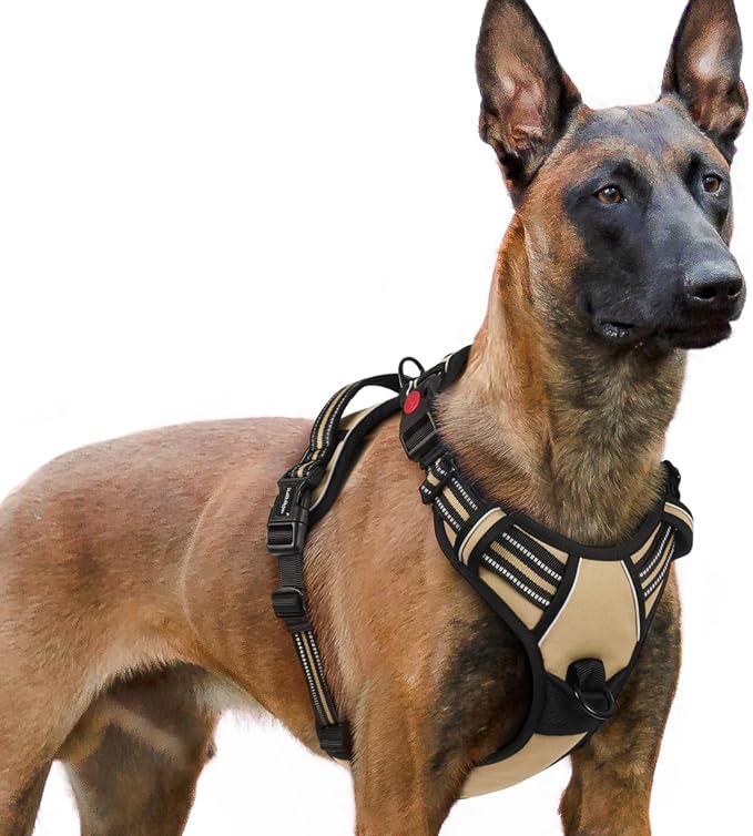 rabbitgoo Dog Harness for Large, Updated Easy On & Off with 3 Buckles | No Pull No Choke, Walking with 2 Clips and Handle, Adjustable Soft Reflective, Beige, X-large