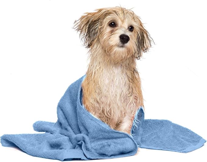 DAN RIVER Dog Towel - Pack of 1, 100% Cotton, 20x40, Ultra Soft 450 GSM, Super Absorbent & Quick Drying Towel for Dogs, Cats, and Other Pets, Riviera.
