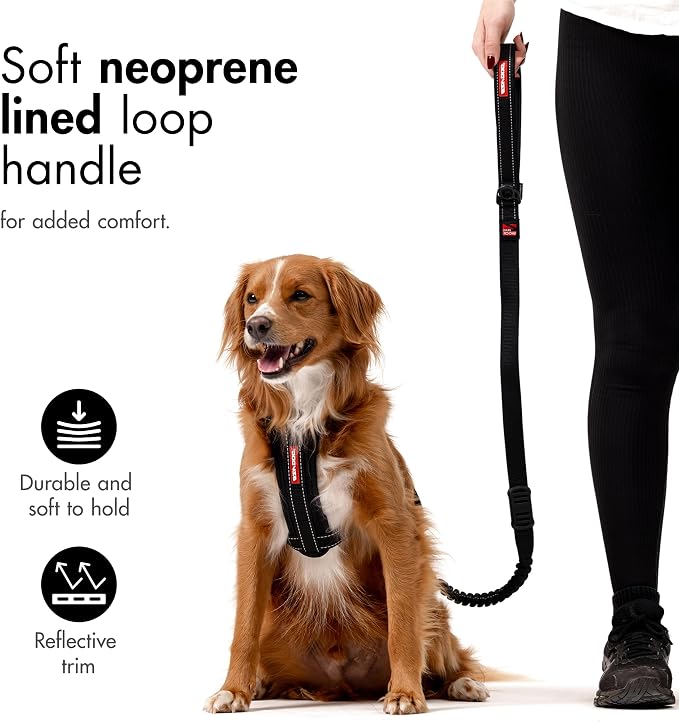 EzyDog Zero Shock - Bungee Dog Leash, Shock Absorbing - 48-Inch, Corduroy | Padded Neoprene Grip, Traffic Handle, Reflective Stitching, Strong for All Size Pullers, 1" Soft Touch Webbing for Durability
