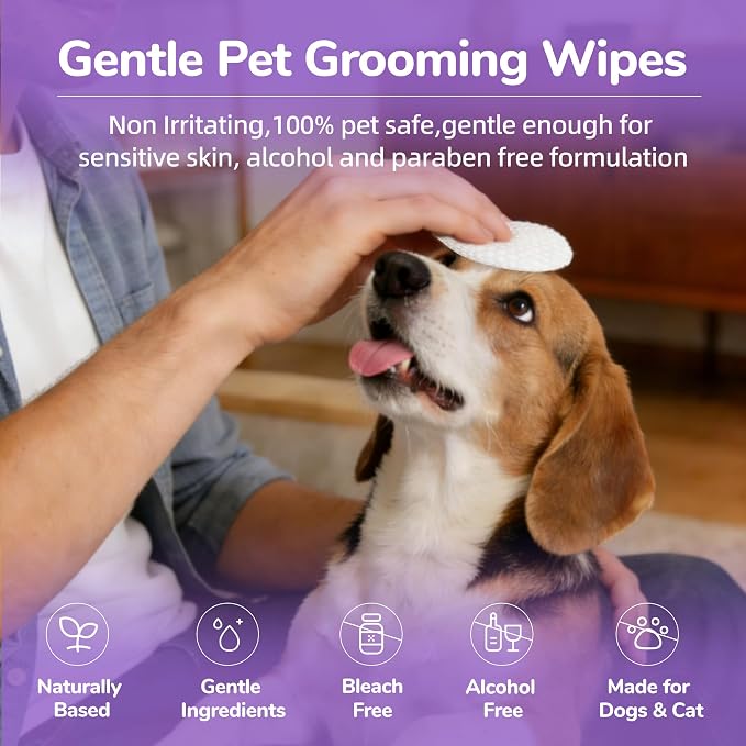 Dog Eye Wipes, Cat Eyes Cleaning Wipes, 120 Count