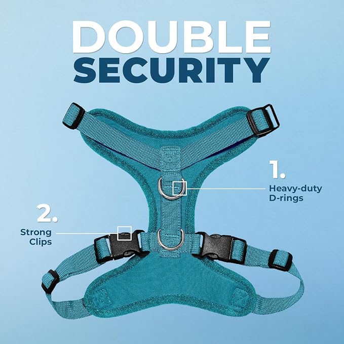 Voyager Step-in Lock Dog Harness - Turquoise, Large | 20 - 25" in Chest, Adjustable, Breathable Air Mesh, Lightweight for Daily Walks, Strong Clips, Heavy Duty D-Ring