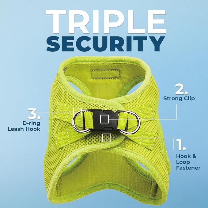 Best Pet Supplies Voyager Step-in Air All Weather Mesh Harness and Reflective Dog 5ft Leash Combo with Neoprene Handle, for Small, Medium and Large Breed Puppies - Lime Green, Small