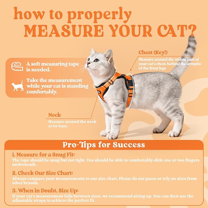 rabbitgoo Cat Harness and Leash Set, Escape Proof Vest, Orange | Soft Breathable Mesh, Easy Adjustable Fit, Snap Buckles, Sturdy Clip, Reflective Strips, for Small & Average Cats Walks, Xs