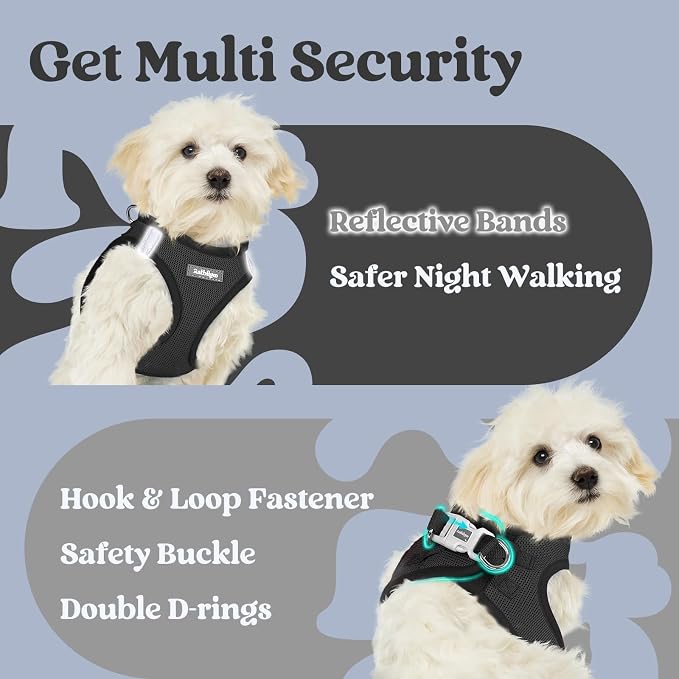 rabbitgoo Step-in Small Dog Harness, Puppy Vest for Small Medium Sized Pet | Easy Put on and off, Lightweight, Soft, Breathable Quick-Dry Air Mesh for Comfortable Secure Walking, Black XL
