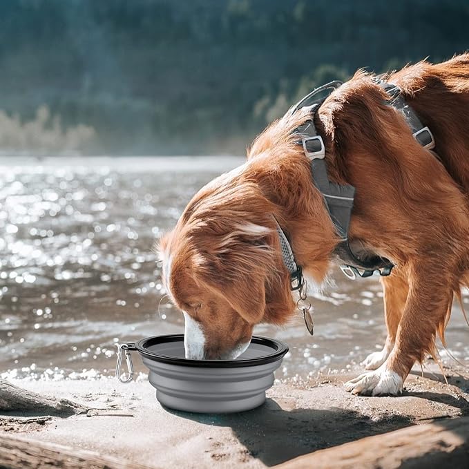 COOYOO Collapsible Dog Bowl, 2 Pack, with Carabiners