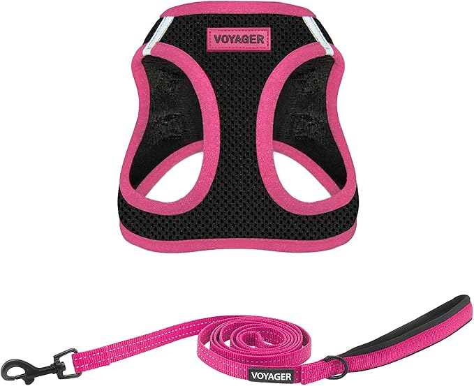 Voyager Step-in Air All Weather Mesh Harness and Reflective Dog 5 ft Leash Combo with Neoprene Handle, for Small, Medium and Large Breed Puppies by Best Pet Supplies - Black, Small