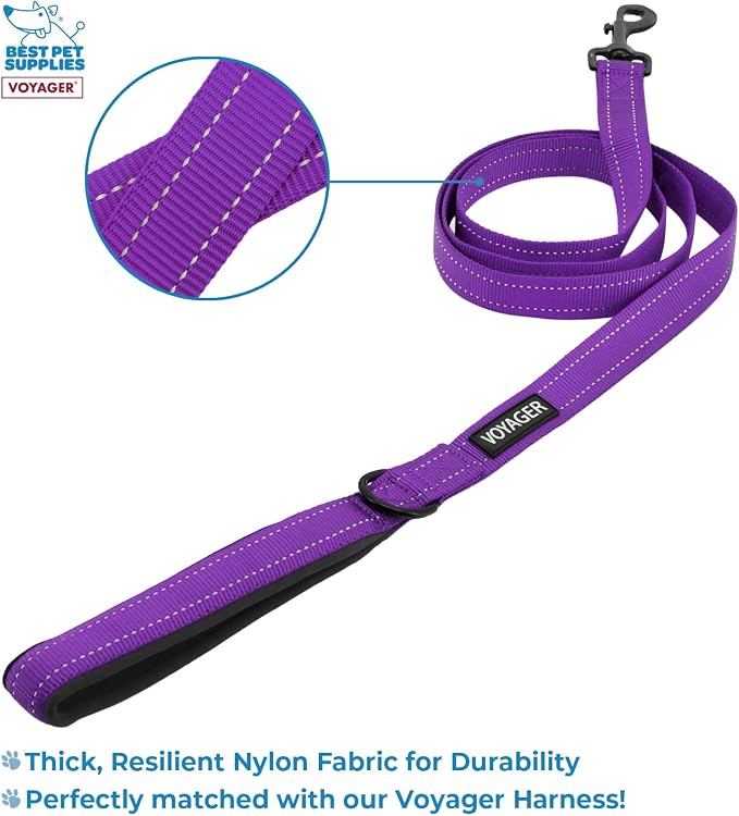 Best Pet Supplies Voyager Step-in Lock Pet Harness w Reflective Pet Leash Combo Set with Neoprene Handle 5ft - Supports Small, Medium and Large Breed Puppies/Cats - Purple/Black Trim, XXXS
